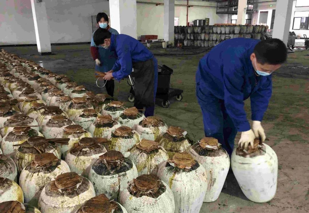 1583310105218455.jpg 2.jpg