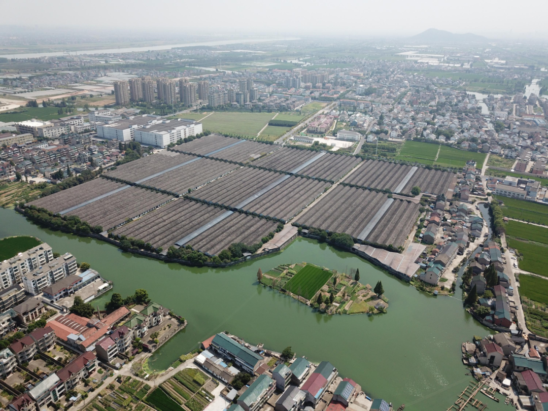 1699514081384610.png 3.png